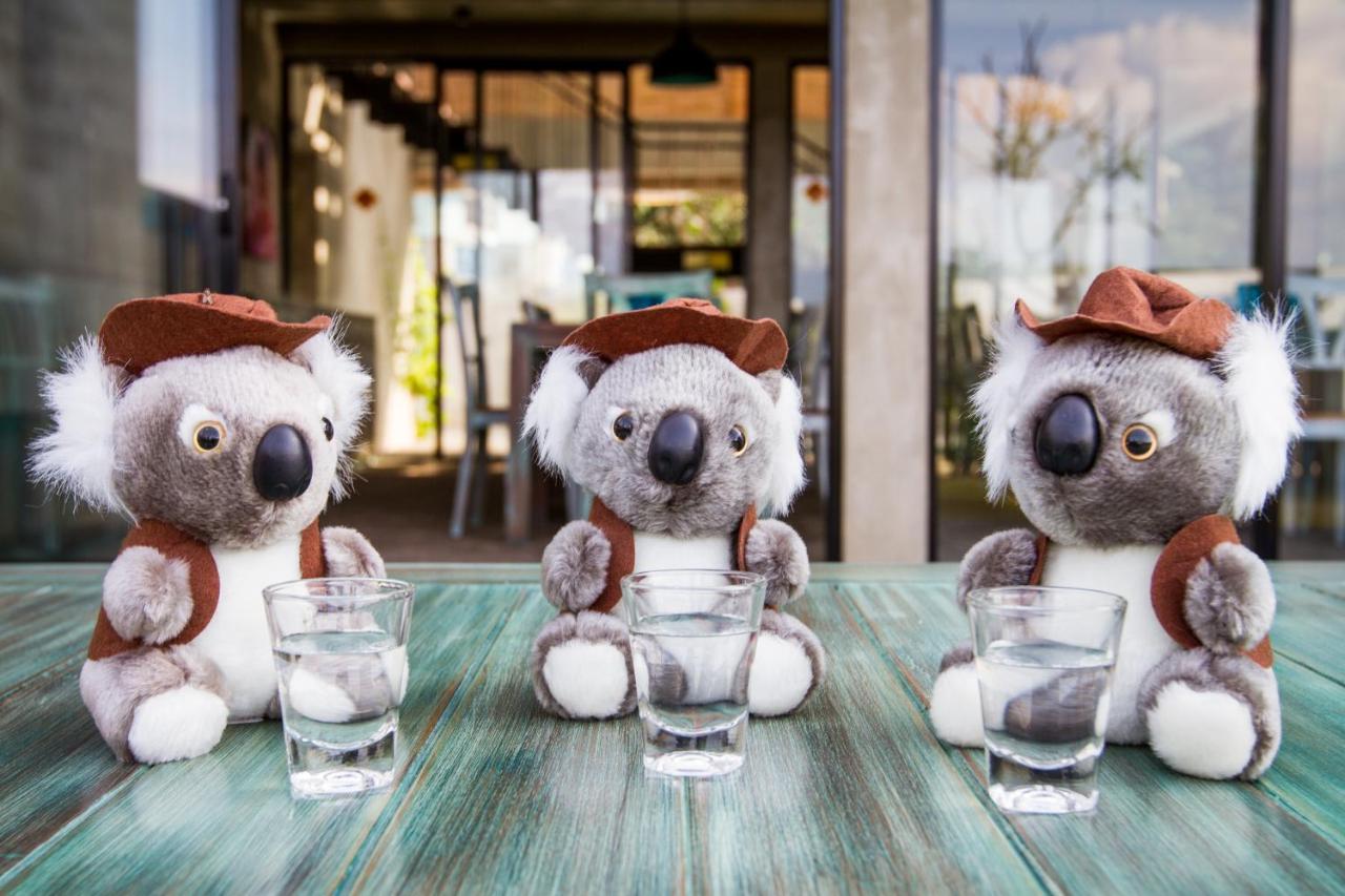 Lazy Koala (Adults Only) Hotel Hikkaduwa Exterior photo
